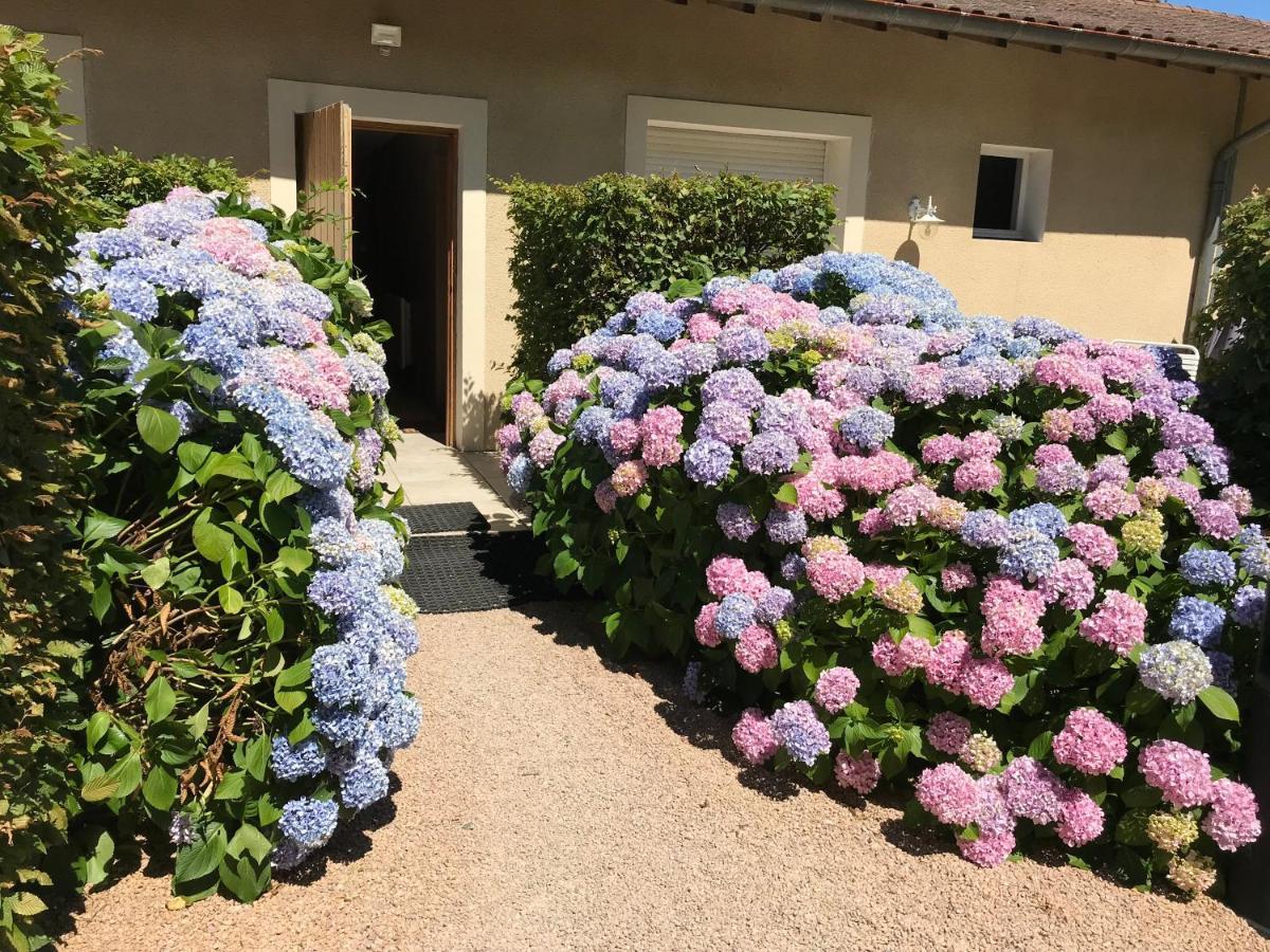 Auberge Les Hauts De Chénas Buitenkant foto