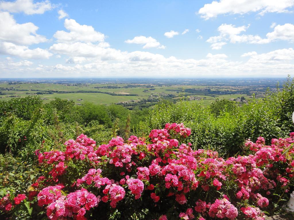Auberge Les Hauts De Chénas Buitenkant foto