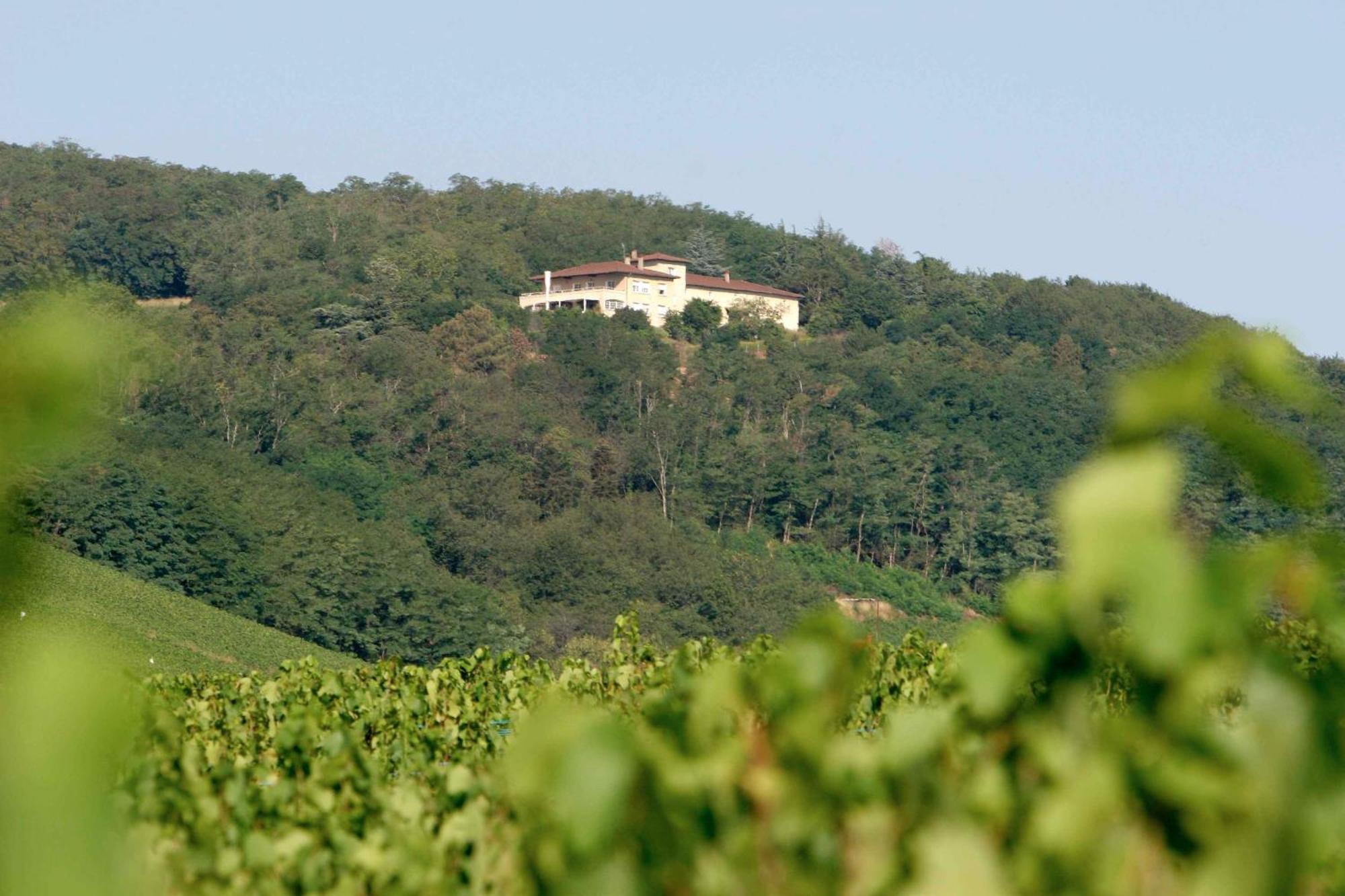 Auberge Les Hauts De Chénas Buitenkant foto